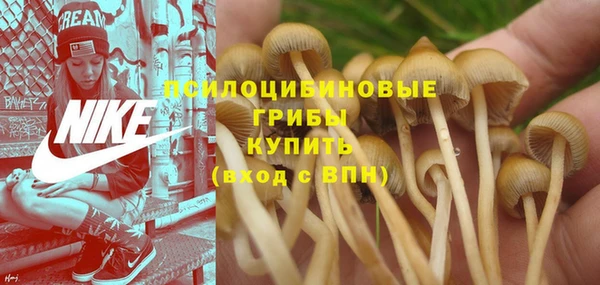 спайс Зеленокумск