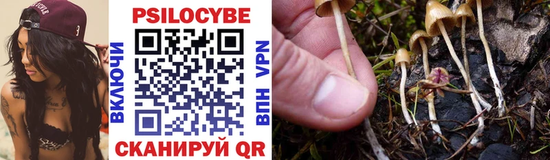 OMG онион  Рязань  Псилоцибиновые грибы Psilocybine cubensis  где продают наркотики 