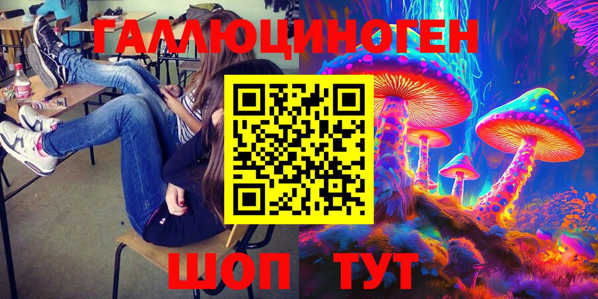 Псилоцибиновые грибы Psilocybe Рязань